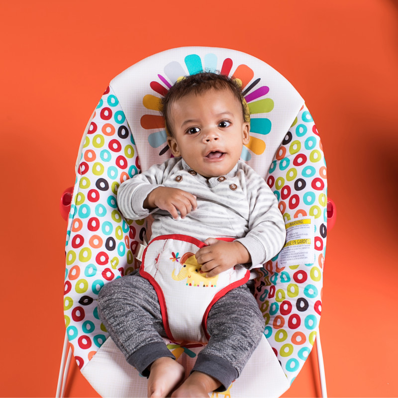 Bright Starts Playful Pinwheels Bouncer