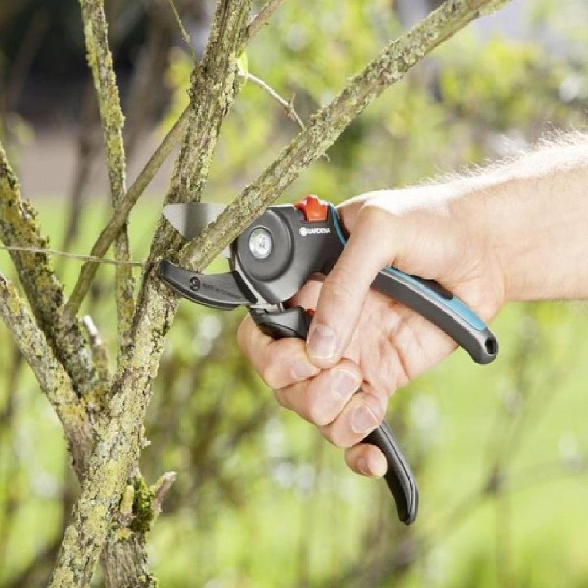 Gardena Pruner Secateurs Anvil Mechanism