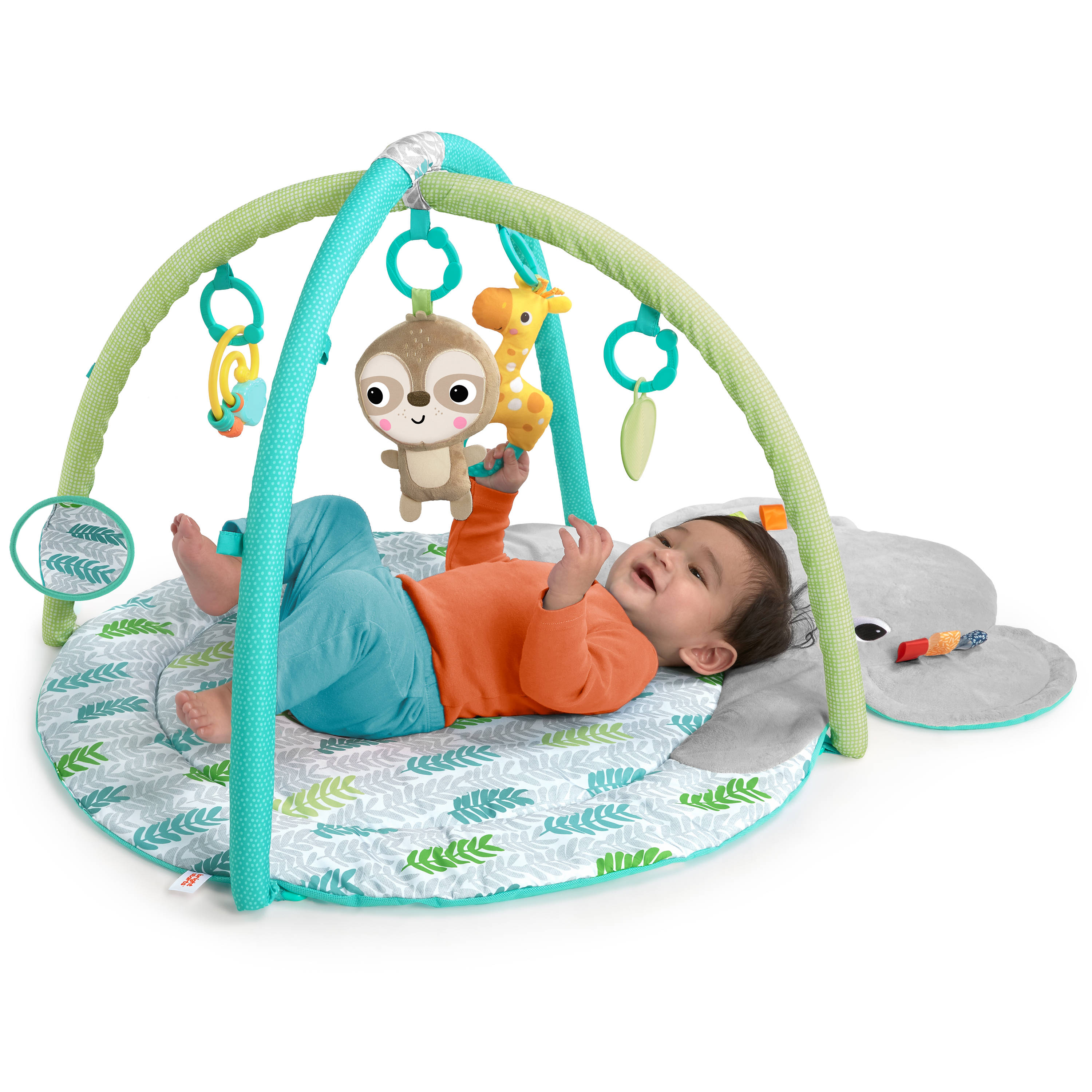 Bright Starts Hug 'n Cuddle™ Activity Gym